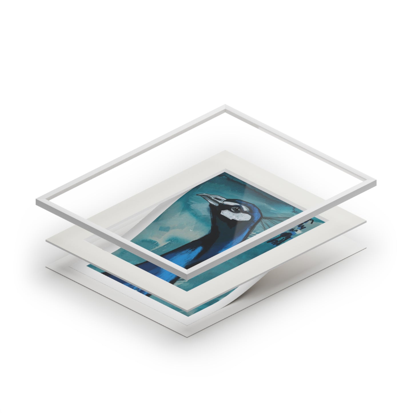 Peacock Fine Art Print (Matte Paper Frame) - 16x20