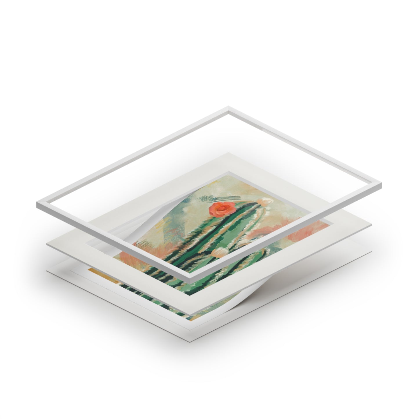 Cacti Fine Art Print (Matte Paper Frame) - 16x20