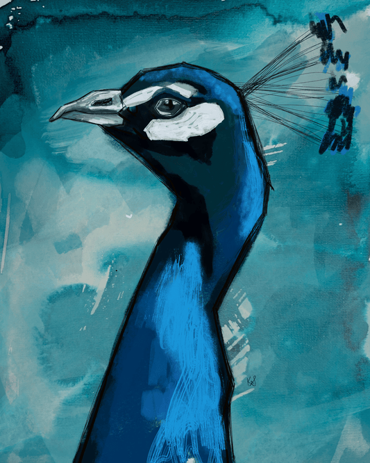 Blue Peacock Premium Art Print 16x20