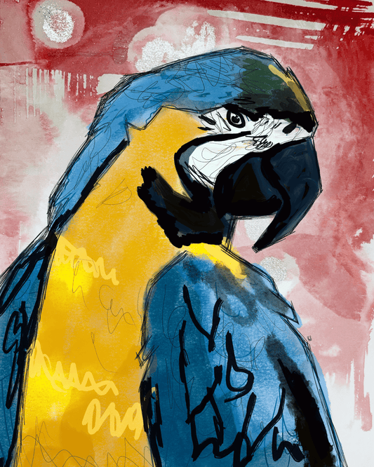 Shy Parrot Premium Art Print 16x20