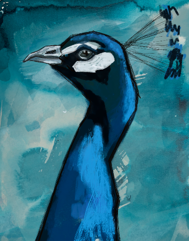 Peacock Print